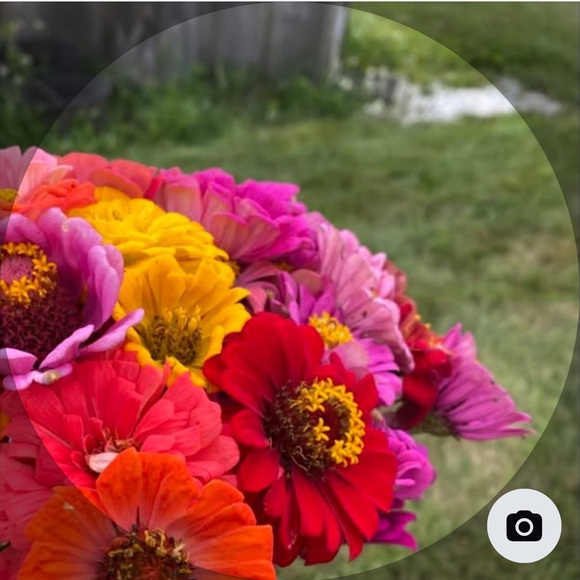 jennifermose749
